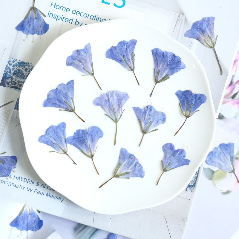 12pcs/3-5cm,nature Bluebell Em - đánh giá và giá Beauty Makeup Bridal