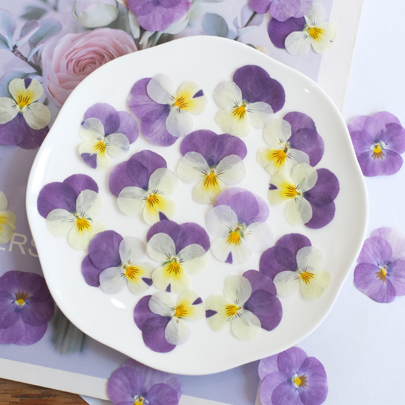 12pcs,nature Pansy Dried Flowe - đánh giá và giá Beauty Makeup Bridal